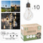 GUIRLANDE AMPOULE 10 LED 4.80 m